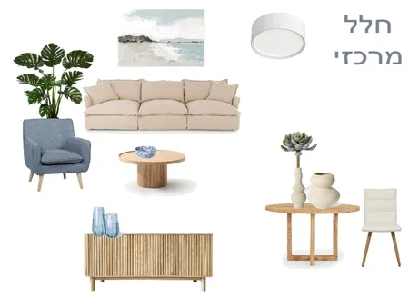 חלל מרכזי ענבל ויניב Interior Design Mood Board by meital fridman on Style Sourcebook