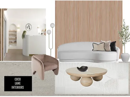 East Fremantle project Interior Design Mood Board by CocoLane Interiors on Style Sourcebook