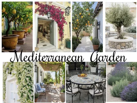 Mediterranean landscape progect Interior Design Mood Board by lisabet on Style Sourcebook