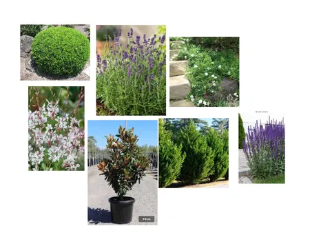 Garden Interior Design Mood Board by House of Cove on Style Sourcebook