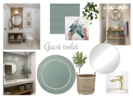 Tammy Lane Guest Toilet Interior Design Mood Board by Carla Dunn Interiors on Style Sourcebook