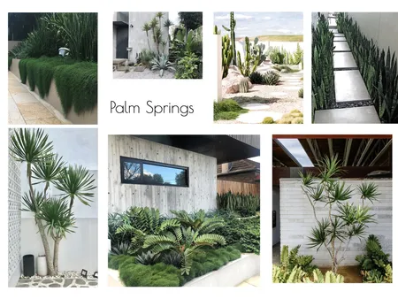 Palm Springs Style Interior Design Mood Board by Olive & Pink on Style Sourcebook