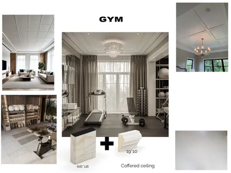 21 Kylie Ave-gym Interior Design Mood Board by Cecilia_ on Style Sourcebook