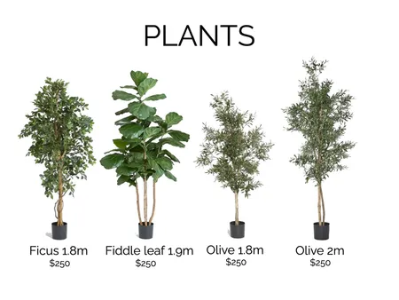 PLANTS Interior Design Mood Board by MyPad Interior Styling Pty Ltd on Style Sourcebook