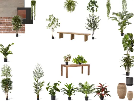 Plant Shop - In progress Interior Design Mood Board by Savvy & Co. on Style Sourcebook