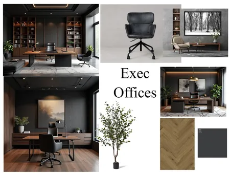 Abakhulu Exec office Interior Design Mood Board by Carla Dunn Interiors on Style Sourcebook