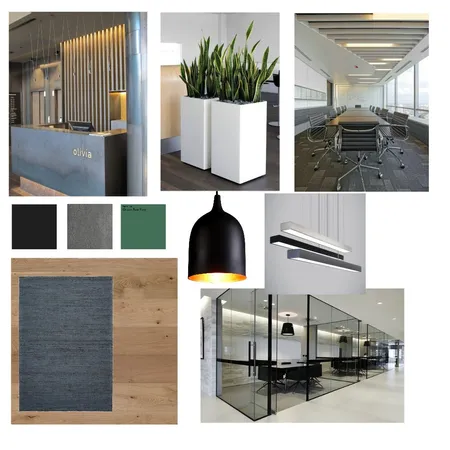 MG Auditors Interior Design Mood Board by Marlene on Style Sourcebook