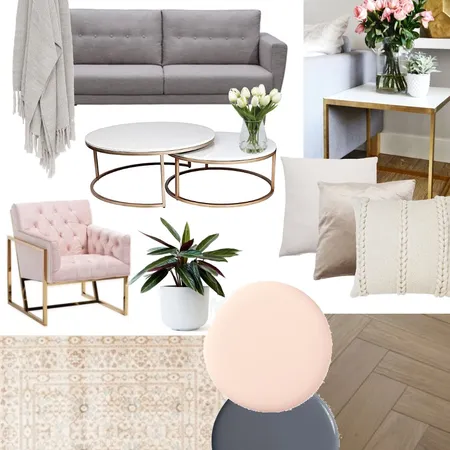 pink living room Interior Design Mood Board by claireswanepoel on Style Sourcebook