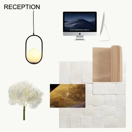 Reception Interior Design Mood Board by hilaryholmesmakeup on Style Sourcebook