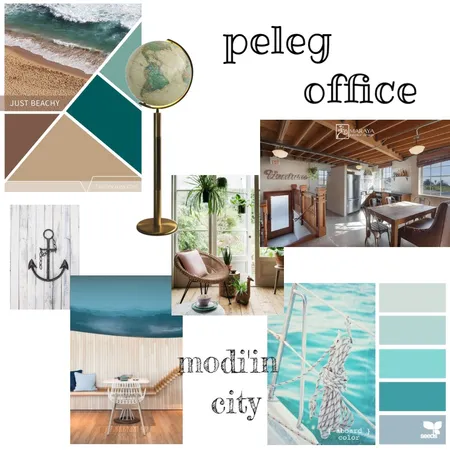 peleg office 1 Interior Design Mood Board by shanym2 on Style Sourcebook