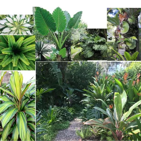 Native tropicals Interior Design Mood Board by Bec_Waters on Style Sourcebook