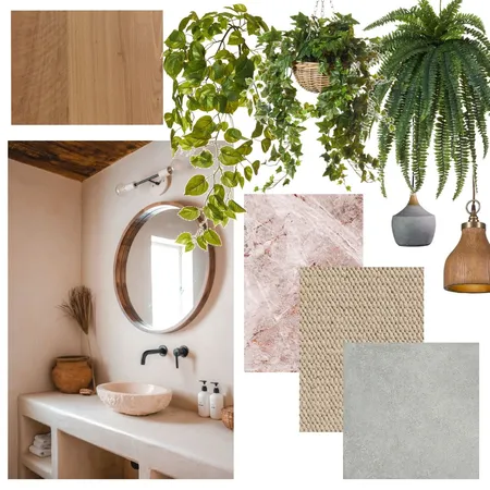 pink plants Interior Design Mood Board by Plants By Bela on Style Sourcebook
