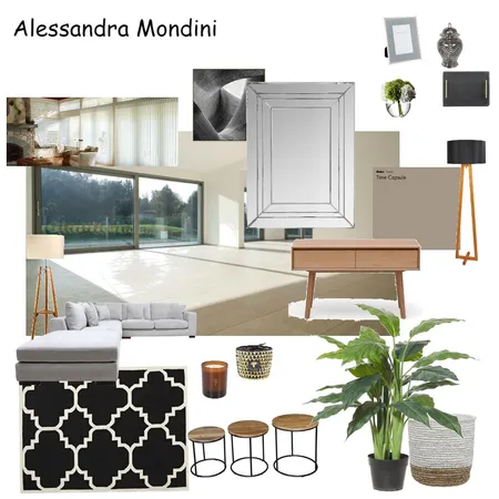 Alessandra Mondini Interior Design Mood Board by Susana Damy Interior and Staging on Style Sourcebook