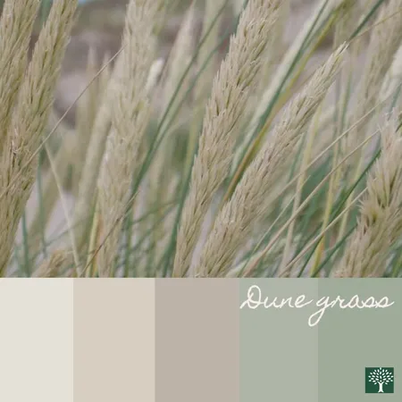 Colour Board - Dune Grass Interior Design Mood Board by Chestnut Interior Design on Style Sourcebook