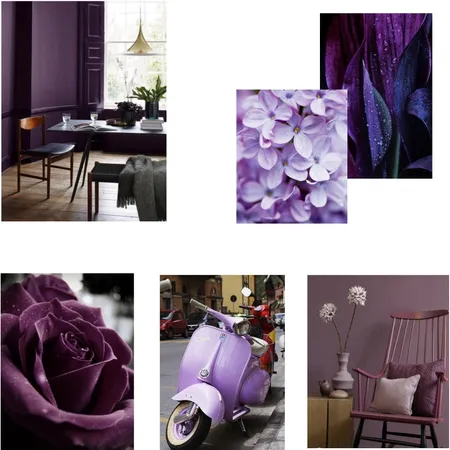 Purple Interior Design Mood Board by Olguin Design on Style Sourcebook