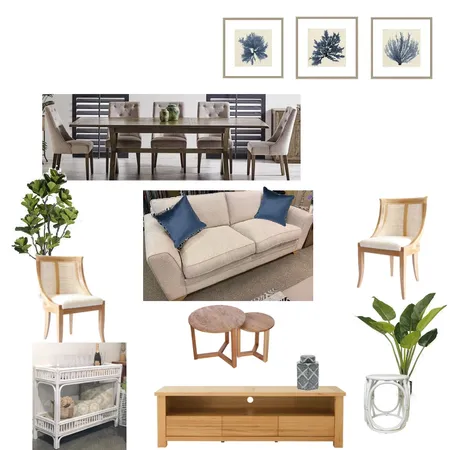 Coastal Hamptons Interior Design Mood Board by Accent on Colour on Style Sourcebook