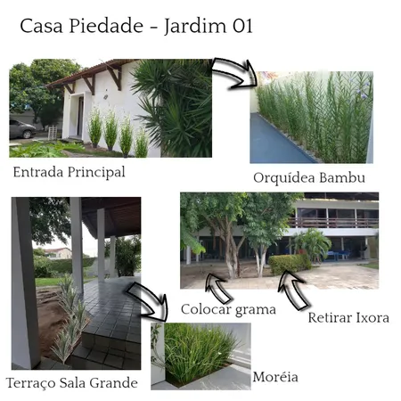 Casa Piedade - Jardim 01 Interior Design Mood Board by Ana Sofia Navarro on Style Sourcebook