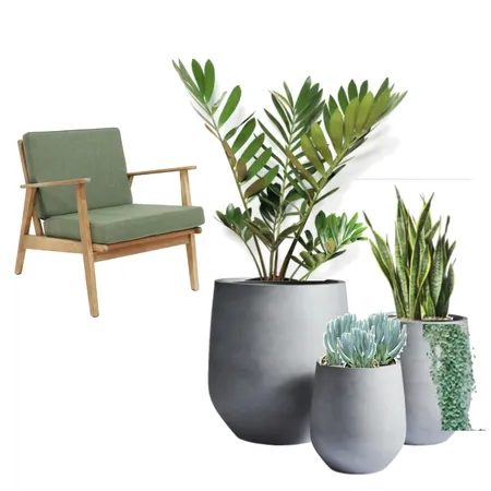 Front yard pots Interior Design Mood Board by anna.reed87 on Style Sourcebook
