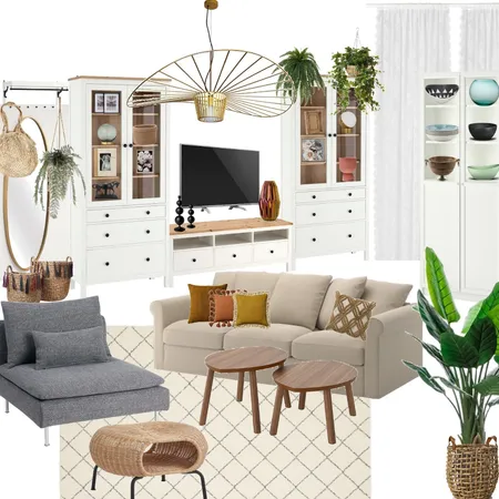 אלעד זברה- סלון Interior Design Mood Board by evelynberentprion on Style Sourcebook