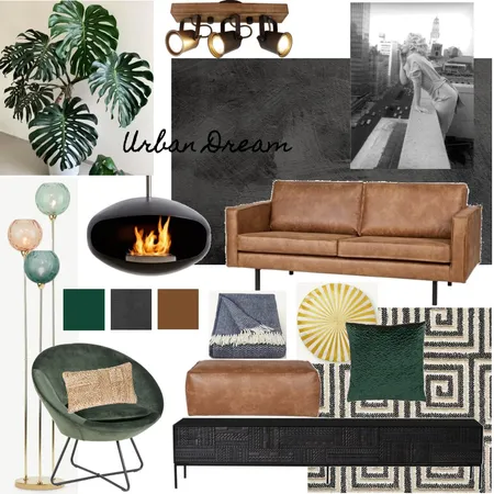 Urban Dream Interior Design Mood Board by cieracao on Style Sourcebook