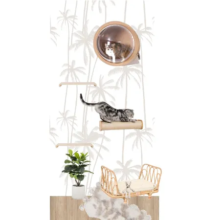 Cat Cupboard Interior Design Mood Board by Tamaraa on Style Sourcebook