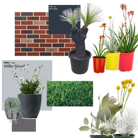 Front landscaping Interior Design Mood Board by Arlenedekker on Style Sourcebook