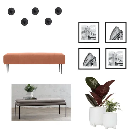 Renko Entryway Interior Design Mood Board by Williams Way Interior Decorating on Style Sourcebook