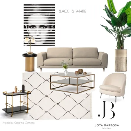 mood black and white Interior Design Mood Board by cATARINA cARNEIRO on Style Sourcebook