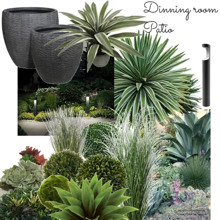 משפחת סגס: פטיו פינת אוכל Interior Design Mood Board by Marin-a on Style Sourcebook