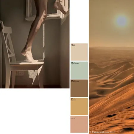 freedom Interior Design Mood Board by eli  buchabza on Style Sourcebook