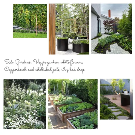 Landscape side garden moodboard Interior Design Mood Board by jacquimidgleyforrest on Style Sourcebook