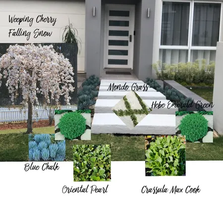 Front yard v1 Interior Design Mood Board by The house of us on Style Sourcebook