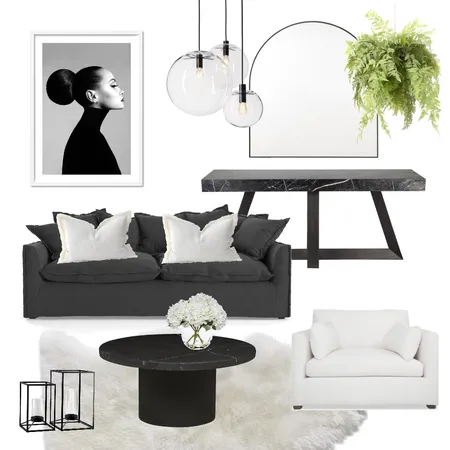 Black and white Interior Design Mood Board by vanceinteriors on Style Sourcebook