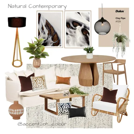 Natural Contemporary Interior Design Mood Board by Accent on Colour on Style Sourcebook