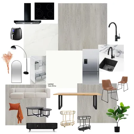 Apartment 1 Interior Design Mood Board by gemma22 on Style Sourcebook