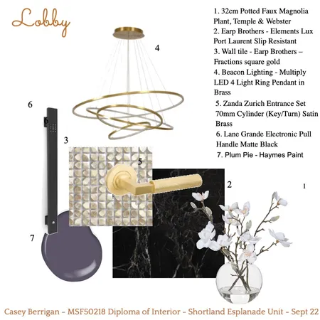 Lobby - 55 Shortland Esplanade Interior Design Mood Board by casey berrigan on Style Sourcebook