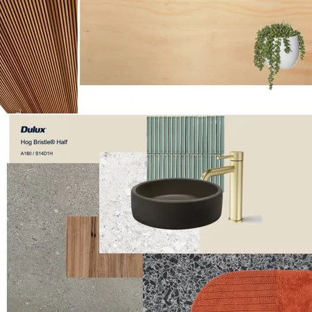 Bathroom v2 Interior Design Mood Board by gabe.a.anderson@gmail.com on Style Sourcebook