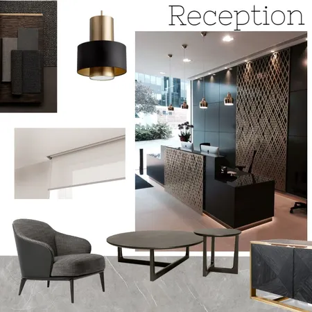 Reception-1 Interior Design Mood Board by Shamnaz on Style Sourcebook