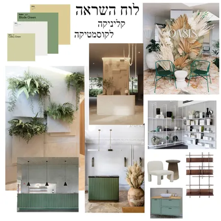 לוח השראה-קליניקה לקוסמטיקה Interior Design Mood Board by mali kai on Style Sourcebook