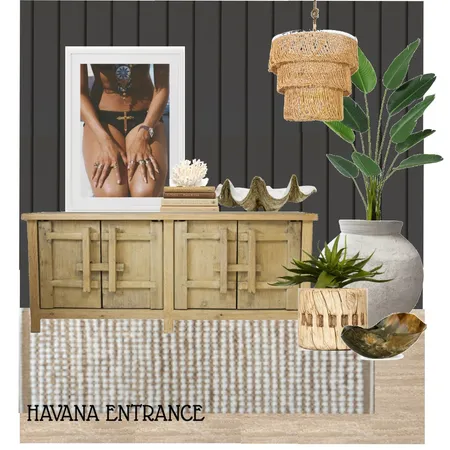 Havana Entrance Interior Design Mood Board by St. Barts Interiors on Style Sourcebook