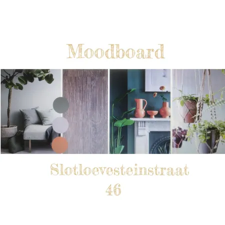 slotloevesteinstraat 46 Interior Design Mood Board by Interieur Design by Debby on Style Sourcebook