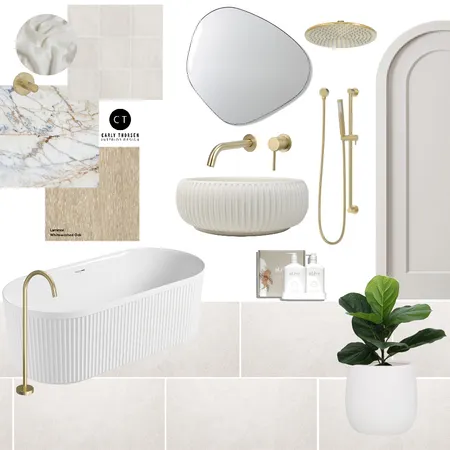 Bathroom White-on-White Interior Design Mood Board by Carly Thorsen Interior Design on Style Sourcebook