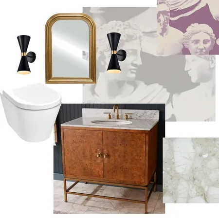 Chamonix powder room 2 Interior Design Mood Board by Giacomo on Style Sourcebook