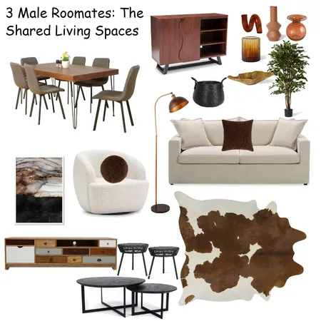 3 male roomates: shared living space Interior Design Mood Board by Beverly Zaske on Style Sourcebook