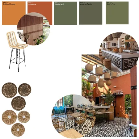 Modern African Safari Interior Design Mood Board by Lisetheriault7@gmail.com on Style Sourcebook