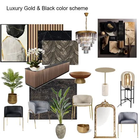 Luxury Gold & Black Mood board 1 Interior Design Mood Board by Asma Murekatete on Style Sourcebook