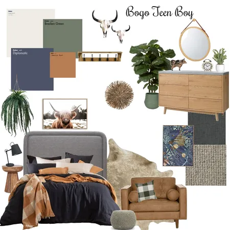 Bogo Teen Boys Room Interior Design Mood Board by Kyliemp on Style Sourcebook