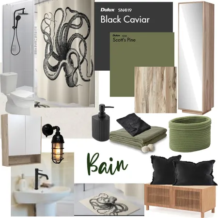 cabanon salle de bain Interior Design Mood Board by studioetoile83@gmail.com on Style Sourcebook