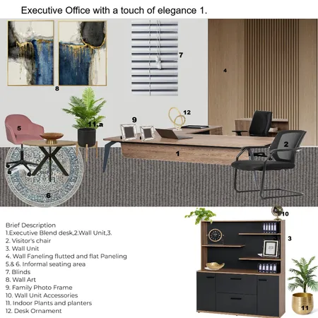 Tshaya Mashabela's - Executive Office 1 Interior Design Mood Board by Asma Murekatete on Style Sourcebook