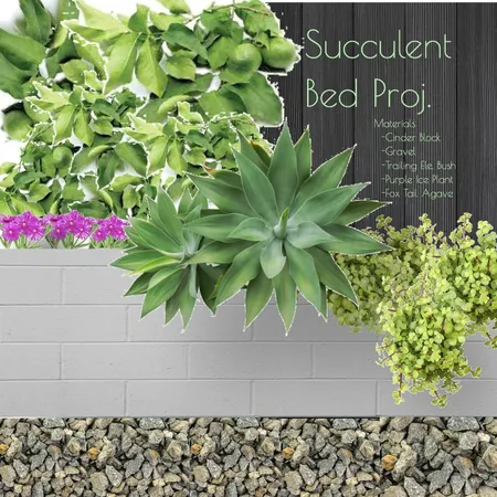 Succulent Bed Pros. Interior Design Mood Board by Gabe L on Style Sourcebook